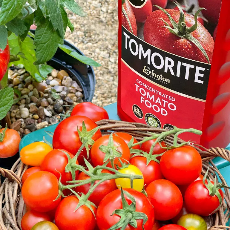 Levington Tomorite Concentrated Tomato Food 1 Litre + 20% Foc