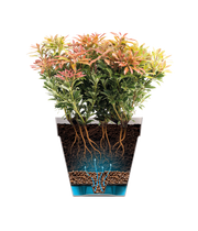 Elho Loft Urban Round range – additional product view