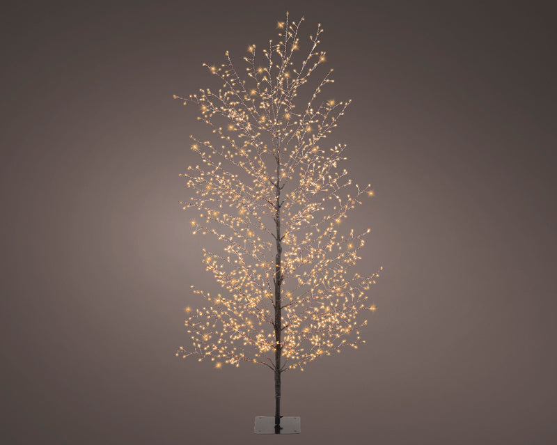 Lumineo Micro LED Outdoor Birch Tree with 1350 Classic Warm white micro lights (D60cm x H.150cm) Black Stem