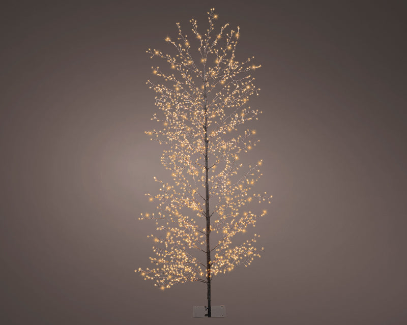 Lumineo Micro LED Outdoor Birch Tree with 1755 Classic Warm white micro lights (D70cm x H.180cm) Black Stem