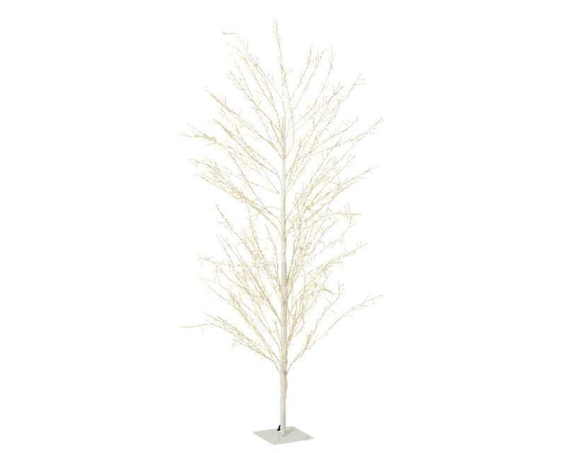Lumineo Micro LED Outdoor Birch Tree with 1755 Warm white micro lights (D70cm x H.180cm) White Stem