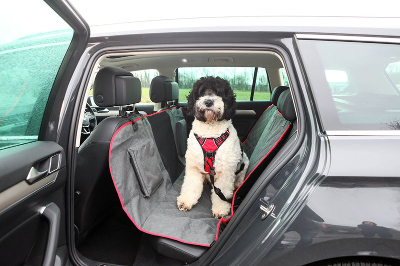 KONG Travel Seat Belt Tether