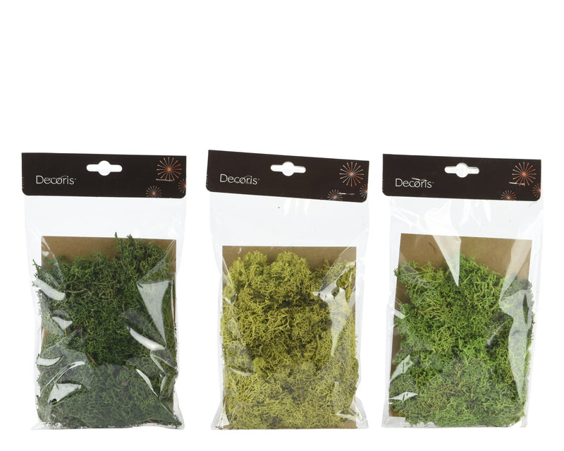 Natural Moss For Nativity Scenes 25 x 15cm (Sold individually)