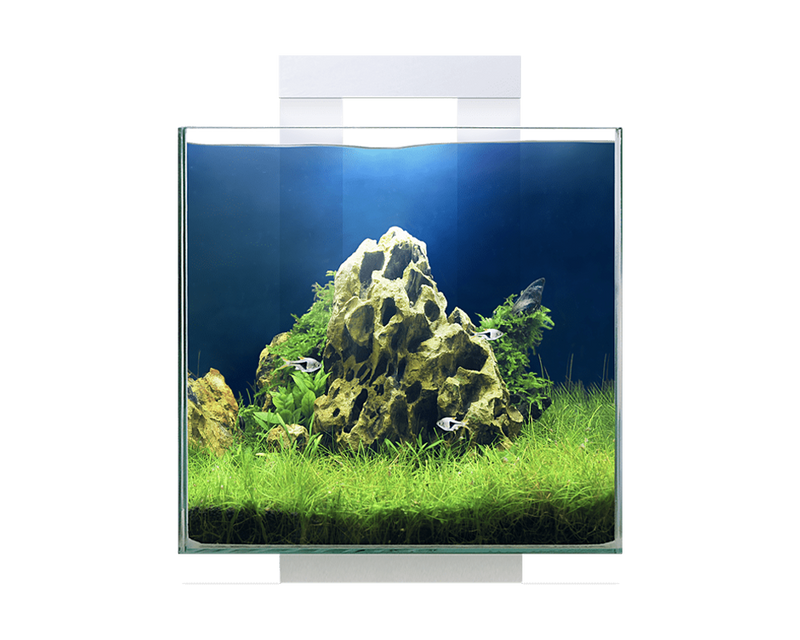 Ciano Nexus Pure Cube 15 With LED Lights 14 Litre