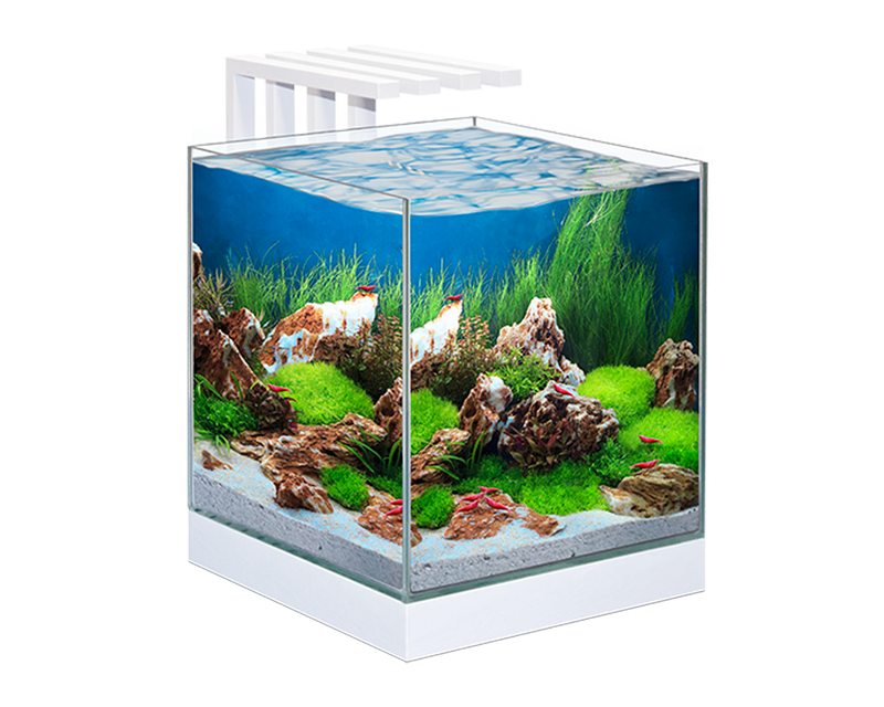 Ciano Nexus Pure 25 Aquarium With LED Lights 22 Litre