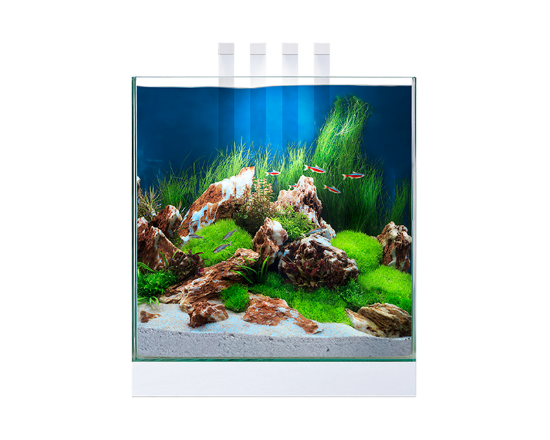 Ciano Nexus Pure 25 Aquarium With LED Lights 22 Litre