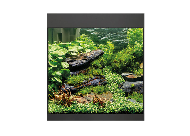 Oase Styleline 85 Aquarium Black
