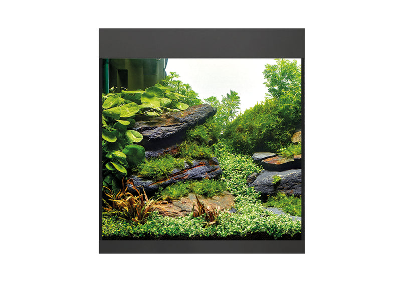 Oase Styleline 85 Aquarium Black
