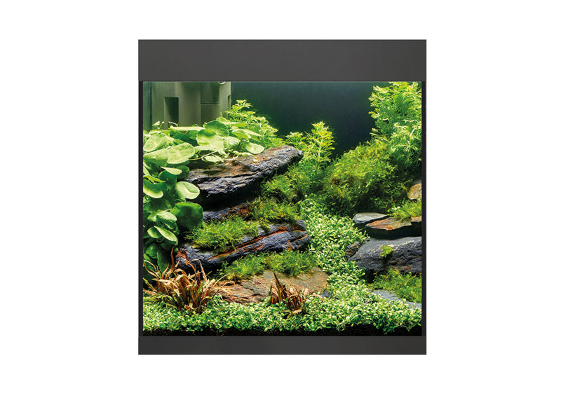 Oase Styleline 85 Aquarium Black