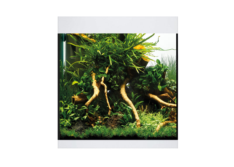 Oase Styleline 85 Aquarium White