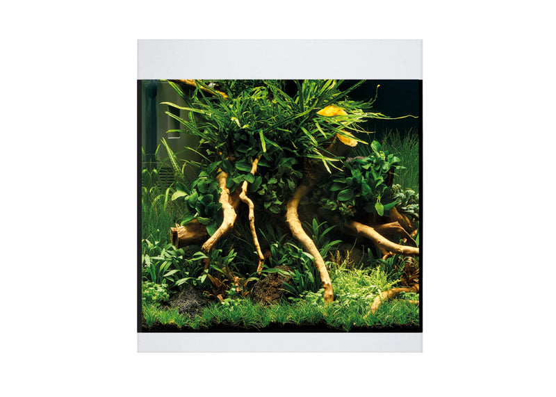 Oase Styleline 85 Aquarium White