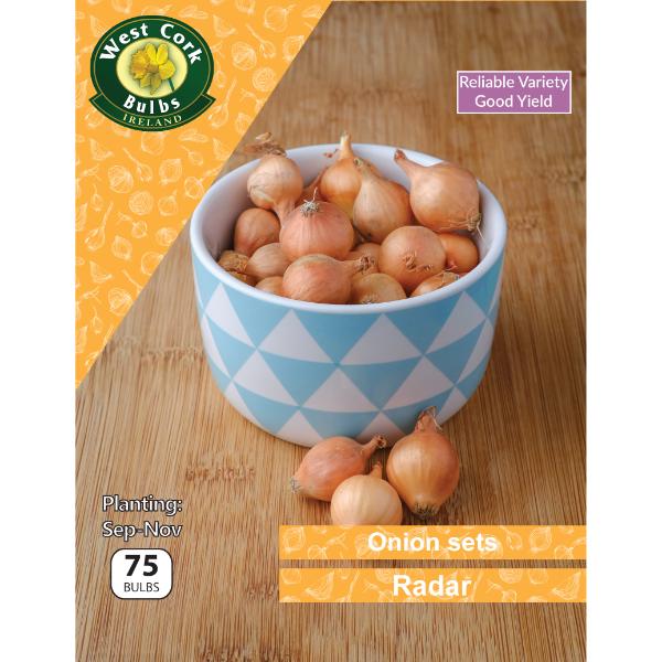 Onion Sets 'Radar' (75 Bulbs Per pack)