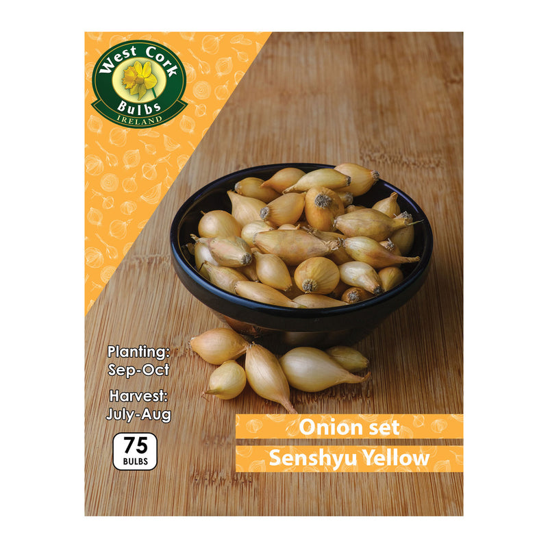 Onion Sets Senshyu Yellow (75 Bulbs Per Pack)