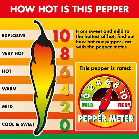 Chilli Pepper 'Tabasco' (Very Hot)
