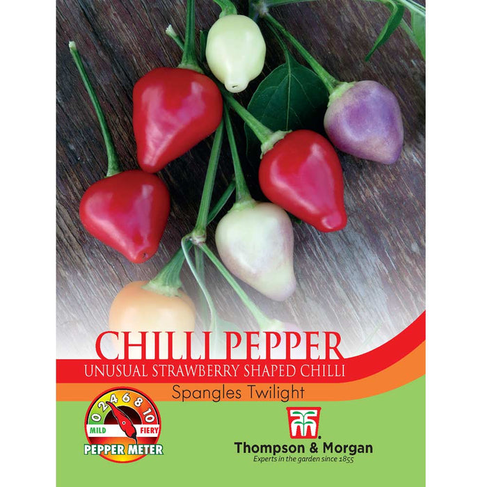 Chilli Pepper 'Spangles Twilight'