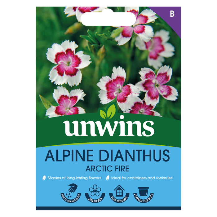 Alpine Dianthus Arctic Fire Flower