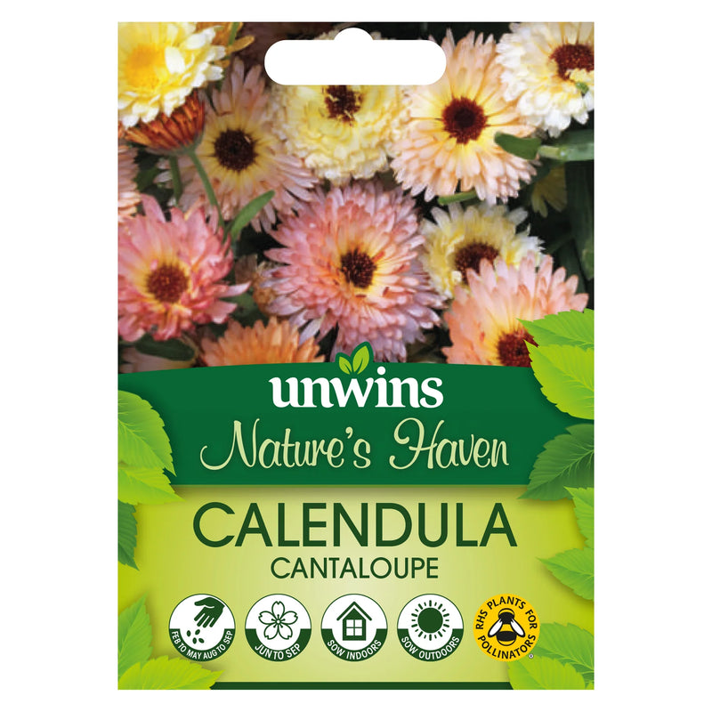 Natures Haven Calendula Cantaloupe