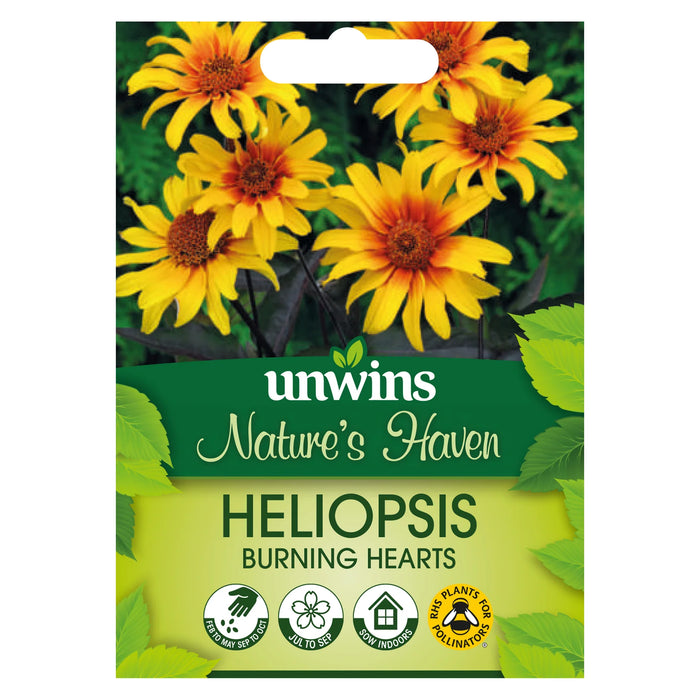Natures Haven Heliopsis Burning Hearts
