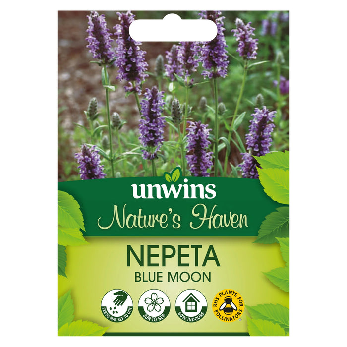 Natures Haven Nepeta Blue Moon