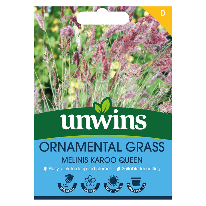 Unwins Ornamental Grass Melinis Karoo Queen