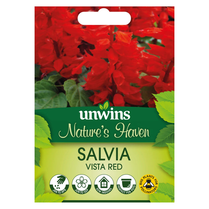 Natures Haven Salvia Vista Red