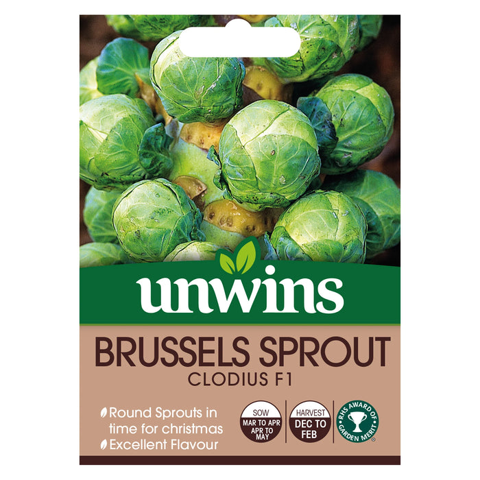 Brussels Sprout Clodius F1