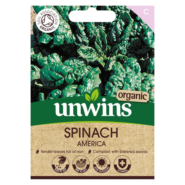 Spinach America Organic