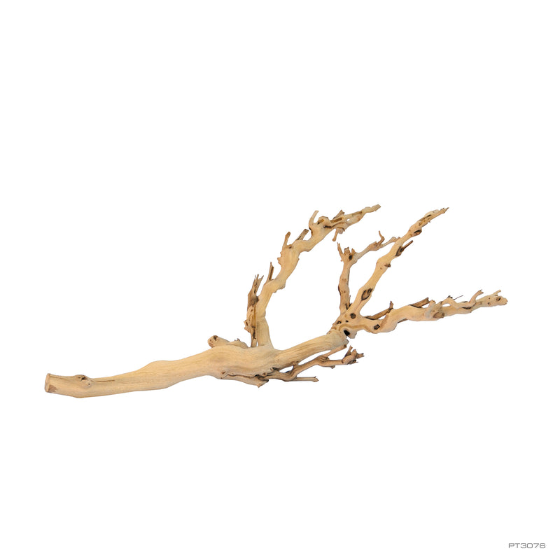 Exo Terra Forest Branch Medium