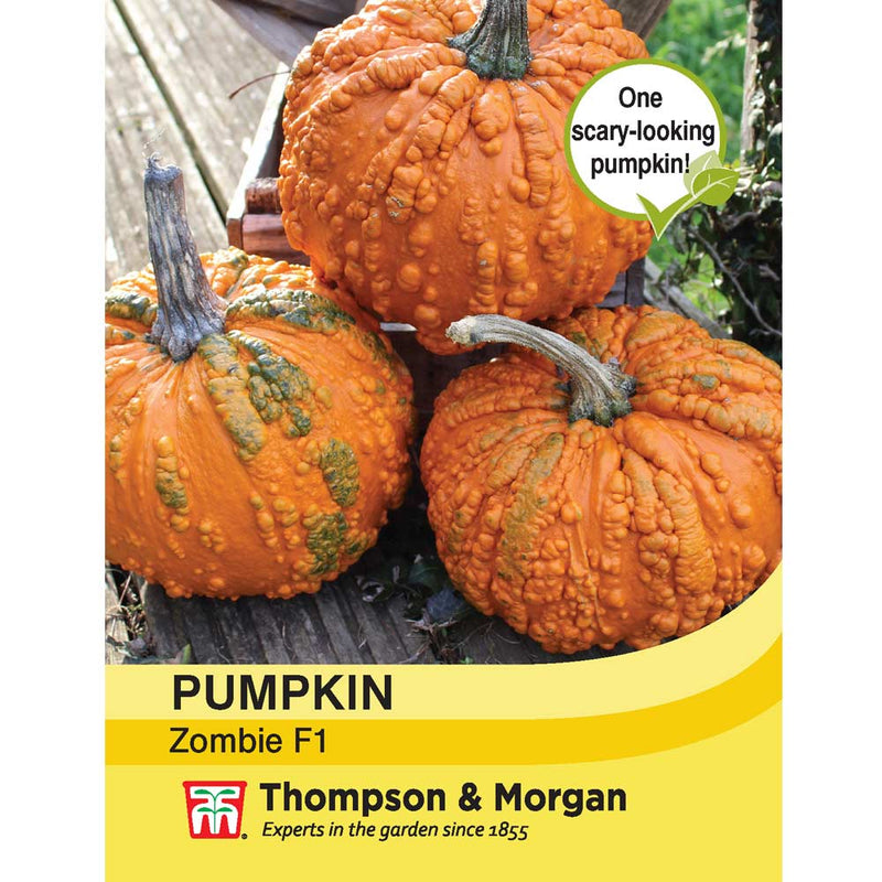 Pumpkin 'Zombie' F1 Hybrid