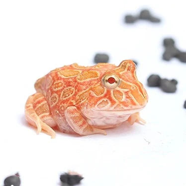 Pacman Strawberry Frog