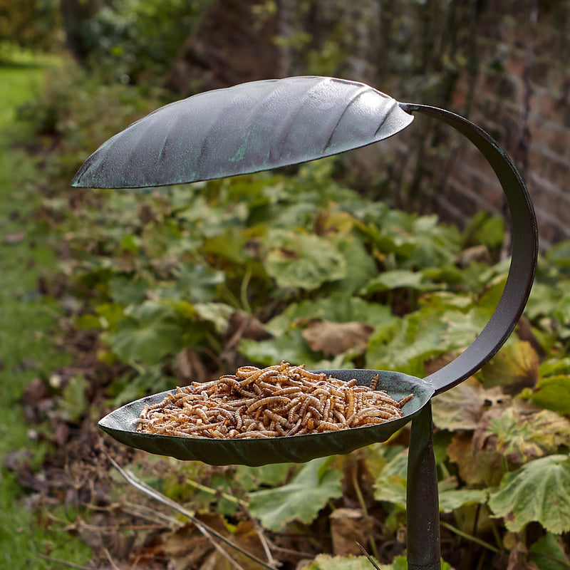 Peckish Mealworms 500g
