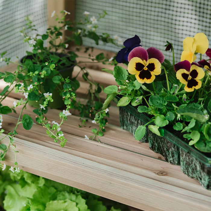 Grow It Premium Wood Growhouse 4 Tier