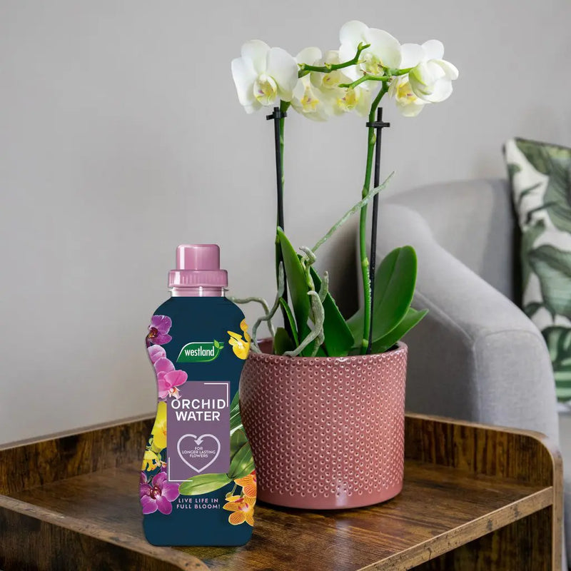 Westland Orchid Water 720ml