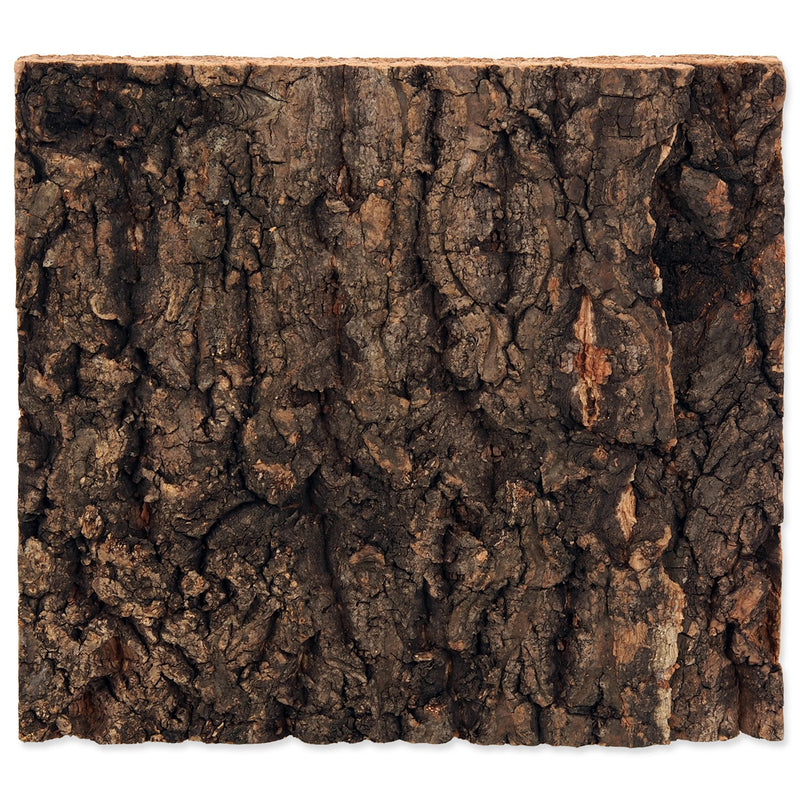 Repti Planet Cork Background Fits 20x20cm Vivarium
