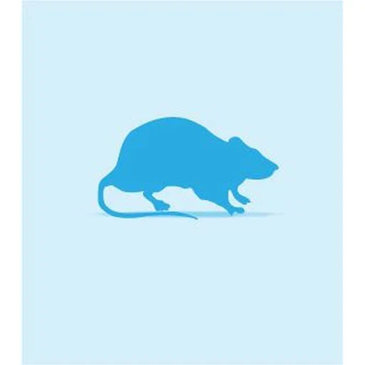 Rat Frozen Weaner Med 50g