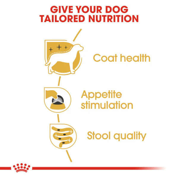 Royal Canin Adult Yorkshire Terrier Wet 85g