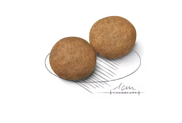 Royal Canin Medium Adult 3kg