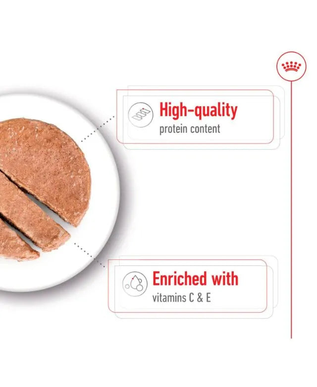 Royal Canin Medium Adult Wet Dog Food Cans In Loaf 410g