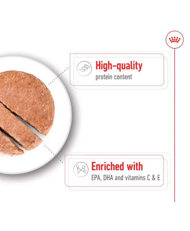 Royal Canin Medium Ageing 7+ Senior Wet Dog Food Cans In Loaf 410g