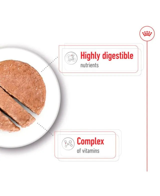 Royal Canin Mini Adult Wet Small Dog Food Cans In Loaf 195g