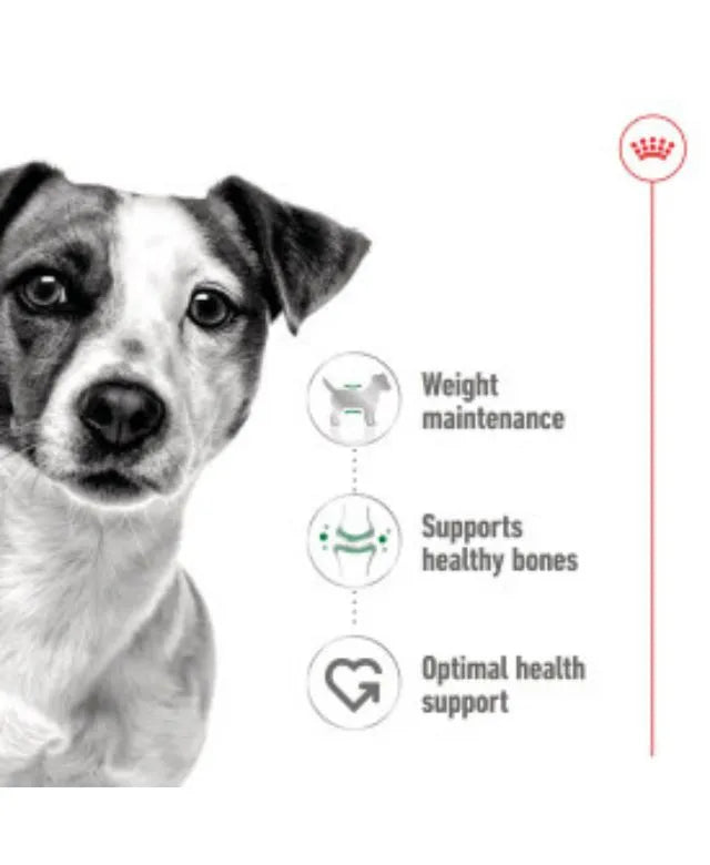 Royal Canin Mini Adult Wet Small Dog Food Cans In Loaf 195g