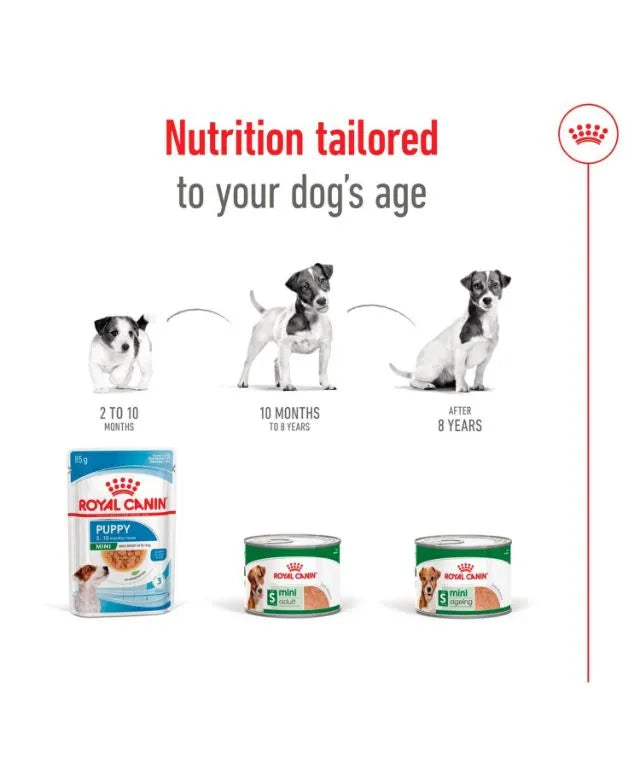 Royal Canin Mini Ageing 8+ Senior Wet Small Dog Food Cans In Loaf 195g