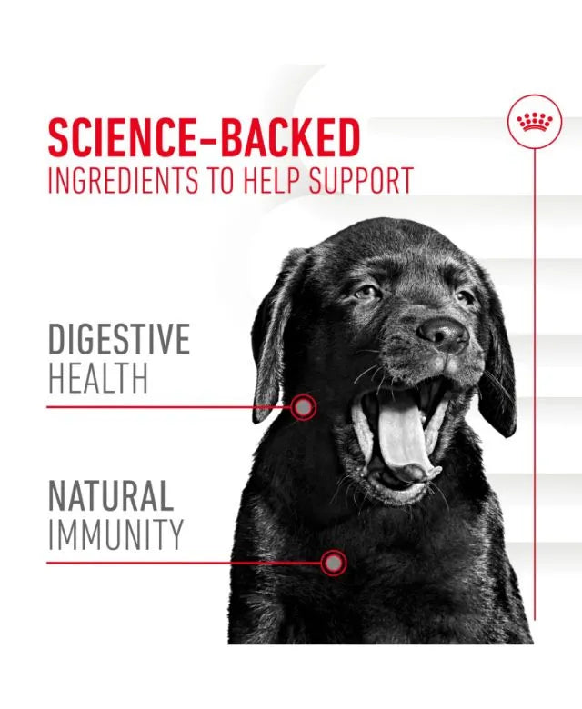 Royal Canin Puppy Supplement for Immunity and Digestion Soft Chews 100g