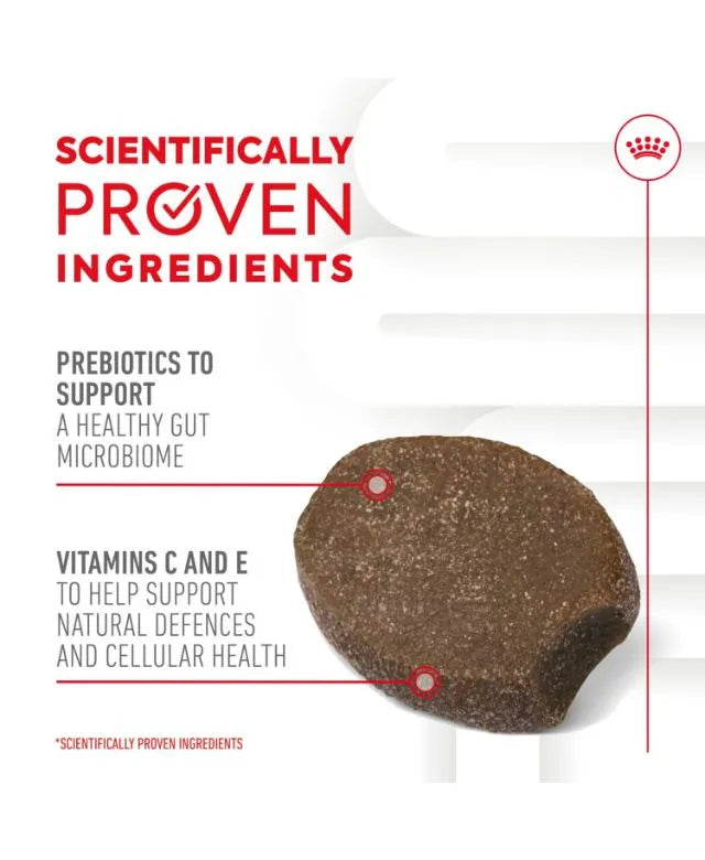 Royal Canin Puppy Supplement for Immunity and Digestion Soft Chews 100g