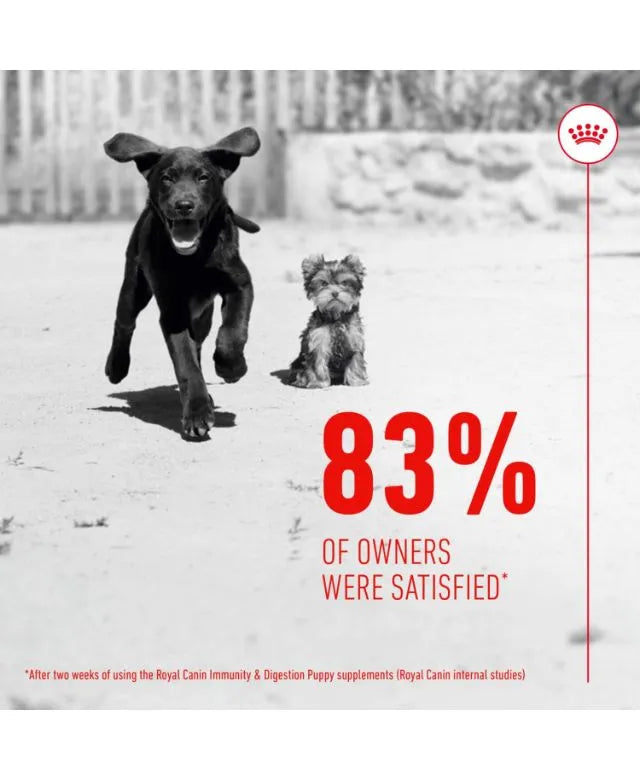 Royal Canin Puppy Supplement for Immunity and Digestion Soft Chews 100g