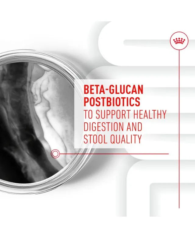 Royal Canin Puppy Supplement for Immunity and Digestion Soft Chews 100g