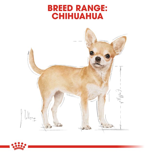 Royal Canin Adult Chihuahua Wet 85g