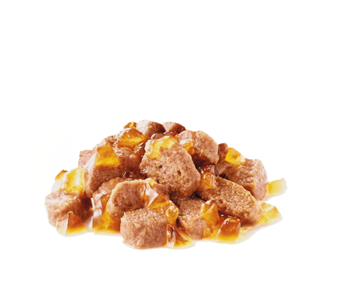 Royal Canin Ageing 12+ Jelly Senior Cat Food (Joint & Kidney) - 85g