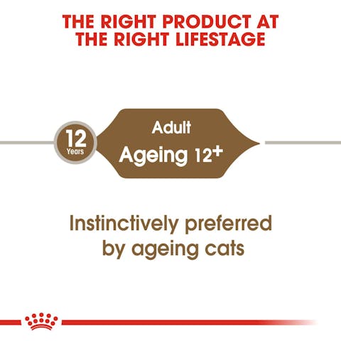 Royal Canin Ageing 12+ Jelly Senior Cat Food (Joint & Kidney) - 85g