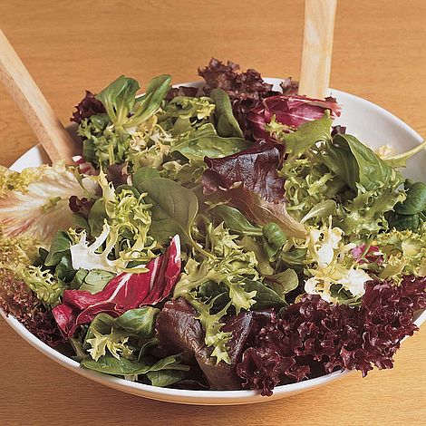 Lettuce Salad Leaves Mix